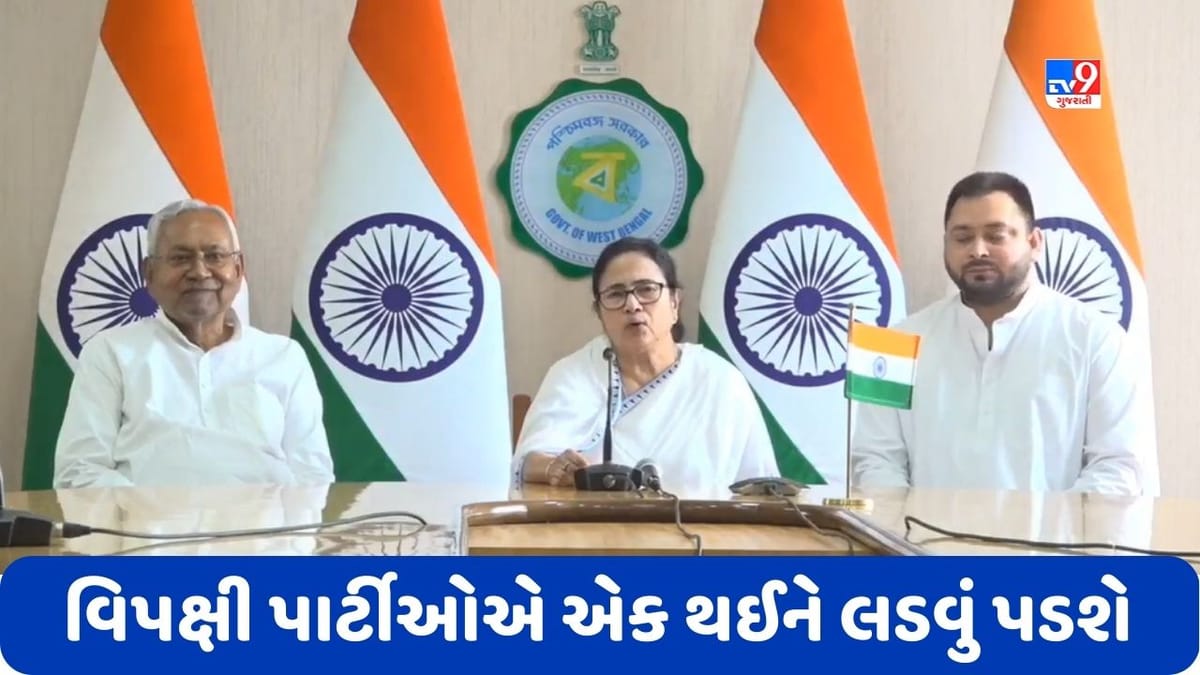 BJP ને કરવું પડશે હીરોથી ઝીરો, નીતિશ કુમાર સાથેની મુલાકાત બાદ મમતાએ બેનર્જીએ કહ્યું- ચાલો બિહારમાં મિટિંગ કરીએ