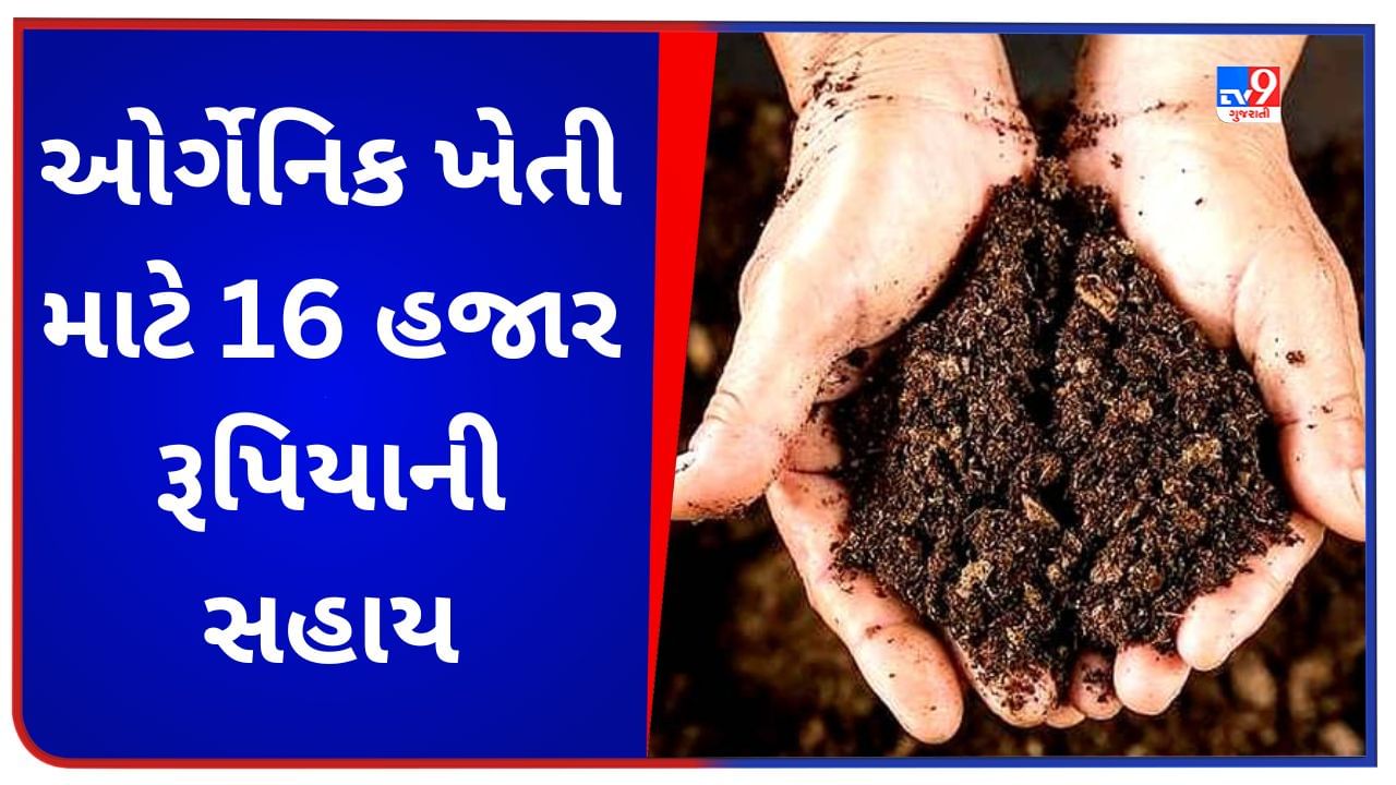 Organic Farming: ઓર્ગેનિક ખેતી કરવા પર તમને મળશે 16 હજાર રૂપિયાની સહાય, જાણો યોજનાની તમામ માહિતી