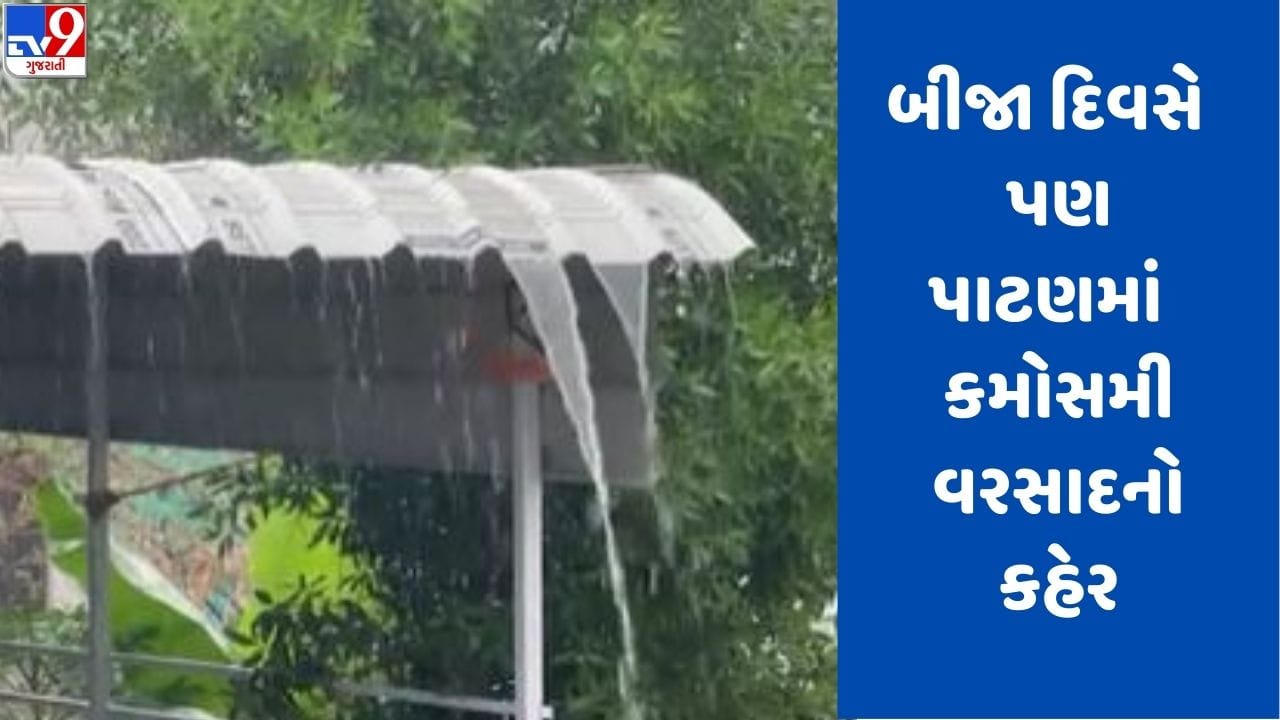 Gujarati video: પાટણ જિલ્લા અને ગ્રામ્ય વિસ્તારમાં ધોધમાર વરસાદ, જુઓ video Gujarati video: પાટણ જિલ્લા અને ગ્રામ્ય વિસ્તારમાં ધોધમાર વરસાદ, જુઓ video