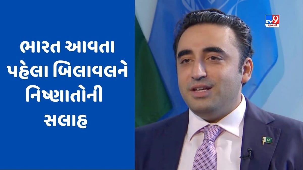 Pakistanને ભારતની સૌથી વધુ જરૂર, બિલાવલ ભુટ્ટોને ગોવા આવતા પહેલા પાકિસ્તાની નિષ્ણાતની મળી સલાહ