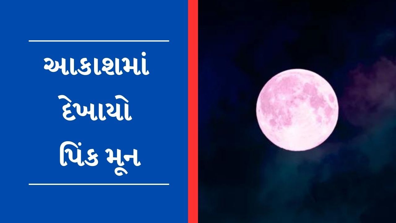 Video : આકાશમાં જોવા મળી અદ્દભુત ખગોળીય ઘટના, દુનિયાએ માણ્યો Pink Moonનો નજારો