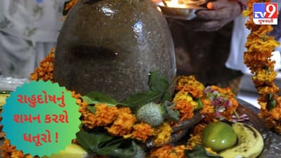 રાહુદોષનું શમન કરશે શિવજીને અર્પણ કરેલ ધતૂરો ! જાણો શિવજીને કેમ અર્પણ થાય છે ધતૂરો