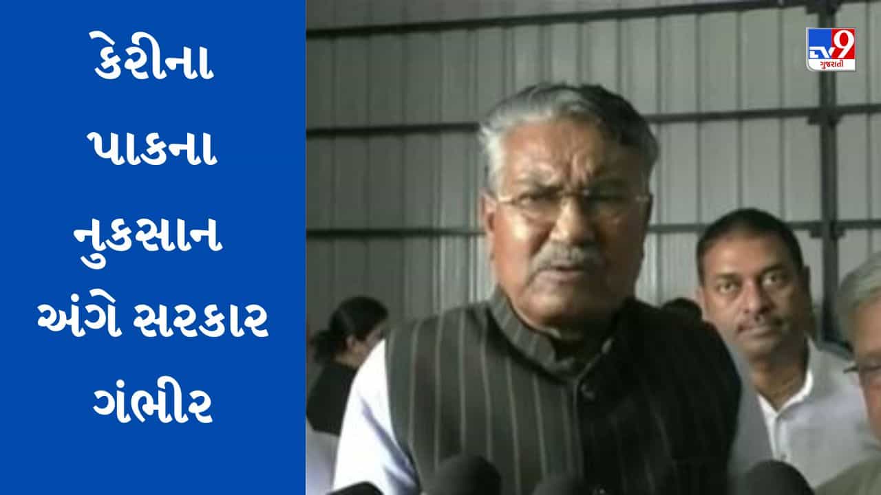Gujarati Video: કેરીના પાકને થયેલા નુકસાનને લઈને સરકાર ગંભીર, જાણો શું કહ્યું કૃષિમંત્રીએ