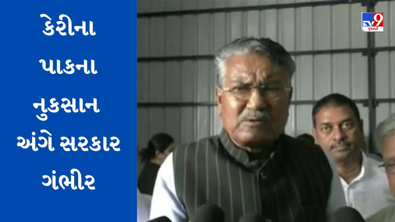 Gujarati Video: કેરીના પાકને થયેલા નુકસાનને લઈને સરકાર ગંભીર, જાણો શું કહ્યું કૃષિમંત્રીએ