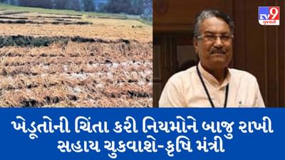 માવઠાંના કારણે અમરેલી જિલ્લામાં સૌથી વધુ નુકસાન થયું, રાજ્ય સરકારે કરેલા સર્વે બાદ કૃષિમંત્રીએ આપી માહિતી