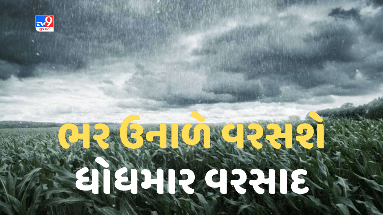 Weather breaking : ભર ઉનાળે અમદાવાદમાં પડશે ગાજવીજ સાથે વરસાદ, દક્ષિણ ગુજરાત અને સૌરાષ્ટ્રમાં પણ વરસાદની આગાહી