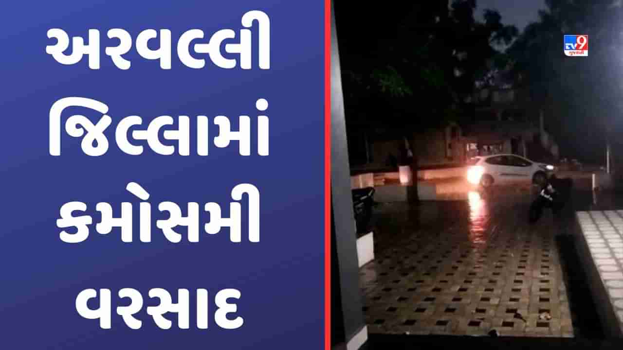 Rains in Aravalli: અરવલ્લી જિલ્લામાં કમોસમી વરસાદ, ચાર-પાંચ દિવસથી બદલાયેલા વાતાવરણથી ખેડૂતો પરેશાન