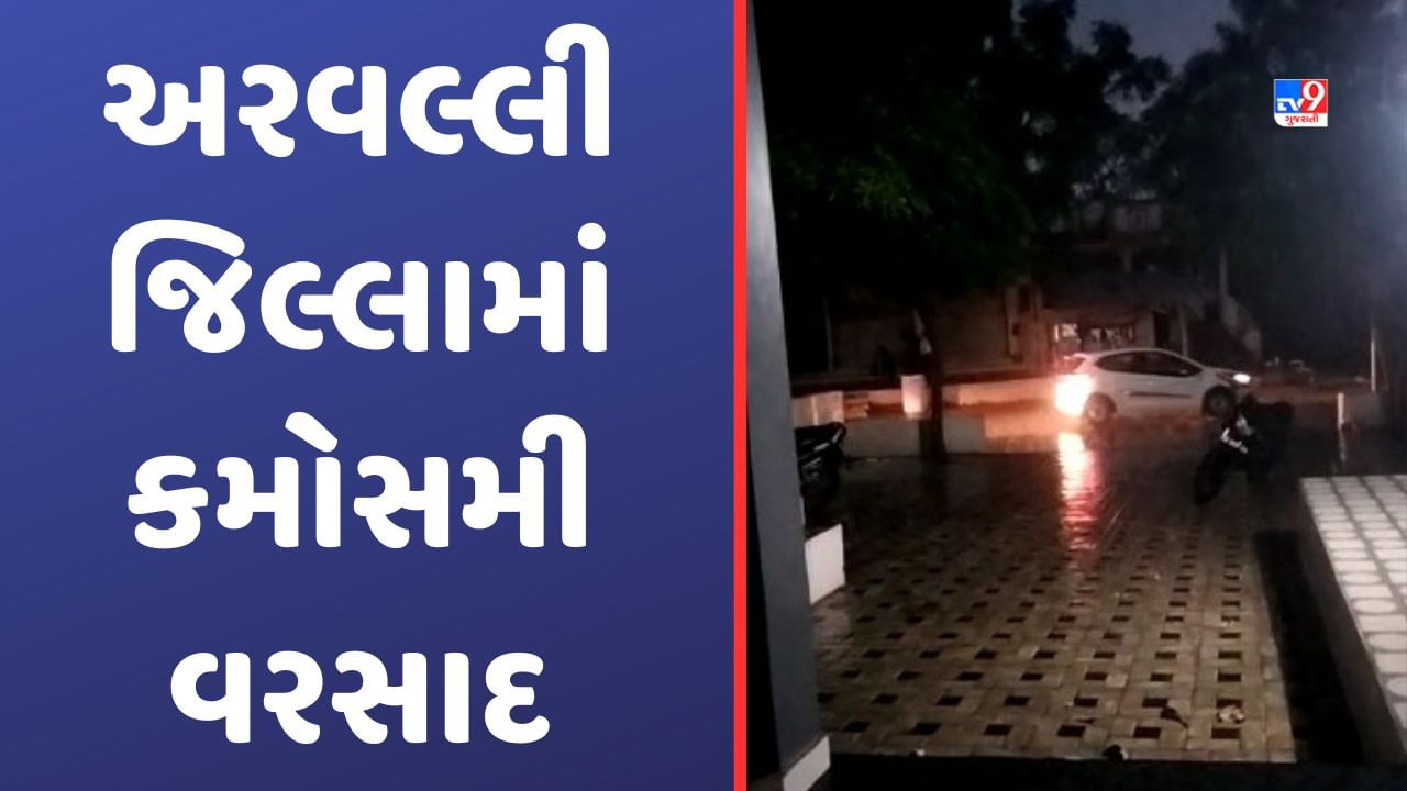 Rains in Aravalli: અરવલ્લી જિલ્લામાં કમોસમી વરસાદ, ચાર-પાંચ દિવસથી બદલાયેલા વાતાવરણથી ખેડૂતો પરેશાન