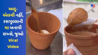 આદુ-એલચી નહીં, રસગુલ્લાની ચા બનાવી શખ્સે, Viral Video જોઈને લોકોએ આપી આવી પ્રતિક્રિયા