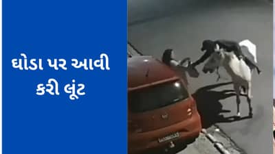 Viral Video : ઘોડા પર સવાર થઈને આવ્યો લૂંટારો, મહિલાની બેગ છીનવીને ભાગ્યો; જુઓ વીડિયો