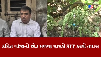Gujarati Video : મારવાડી યુનિવર્સિટીમાંથી કથિત ગાંજાનો છોડ મળવા મામલે થઇ SITની રચના, ગૃહ રાજ્ય પ્રધાને કહ્યુ- શૈક્ષણિક ક્ષેત્રમાં આવી પ્રવૃત્તિ નહીં ચલાવી લેવાય Gujarati Video : મારવાડી યુનિવર્સિટીમાંથી કથિત ગાંજાનો છોડ મળવા મામલે થઇ SITની રચના, ગૃહ રાજ્ય પ્રધાને કહ્યુ- શૈક્ષણિક ક્ષેત્રમાં આવી પ્રવૃત્તિ નહીં ચલાવી લેવાય