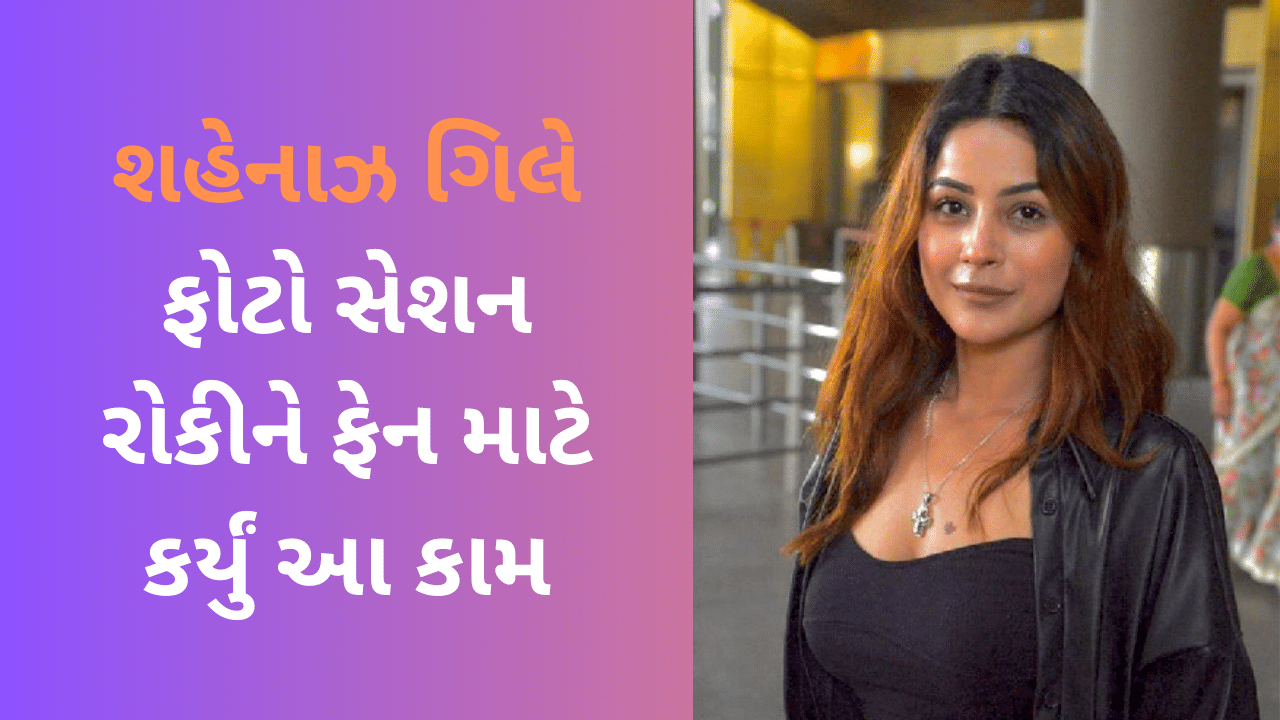 શહેનાઝ ગિલે ફોટો સેશન રોકીને ફેન માટે કર્યું આ કામ, લોકોએ કહ્યું- ફ્લાવર મત સમજના, ફાયર હૈ, જુઓ Video