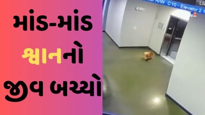 Shocking Viral Video : થોડીક સેકન્ડમાં શ્વાન મરી જાત, માણસે આ રીતે મગજ ચલાવીને બચાવ્યો ડોગીનો જીવ