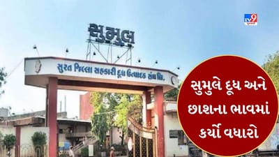 Breaking News : સુમુલ ડેરી દ્વારા દૂધના ભાવમાં પ્રતિ લિટર રૂ.2 નો વધારો, 6 લીટરની છાશની થેલીના ભાવમાં રૂ.6નો વધારો થયો