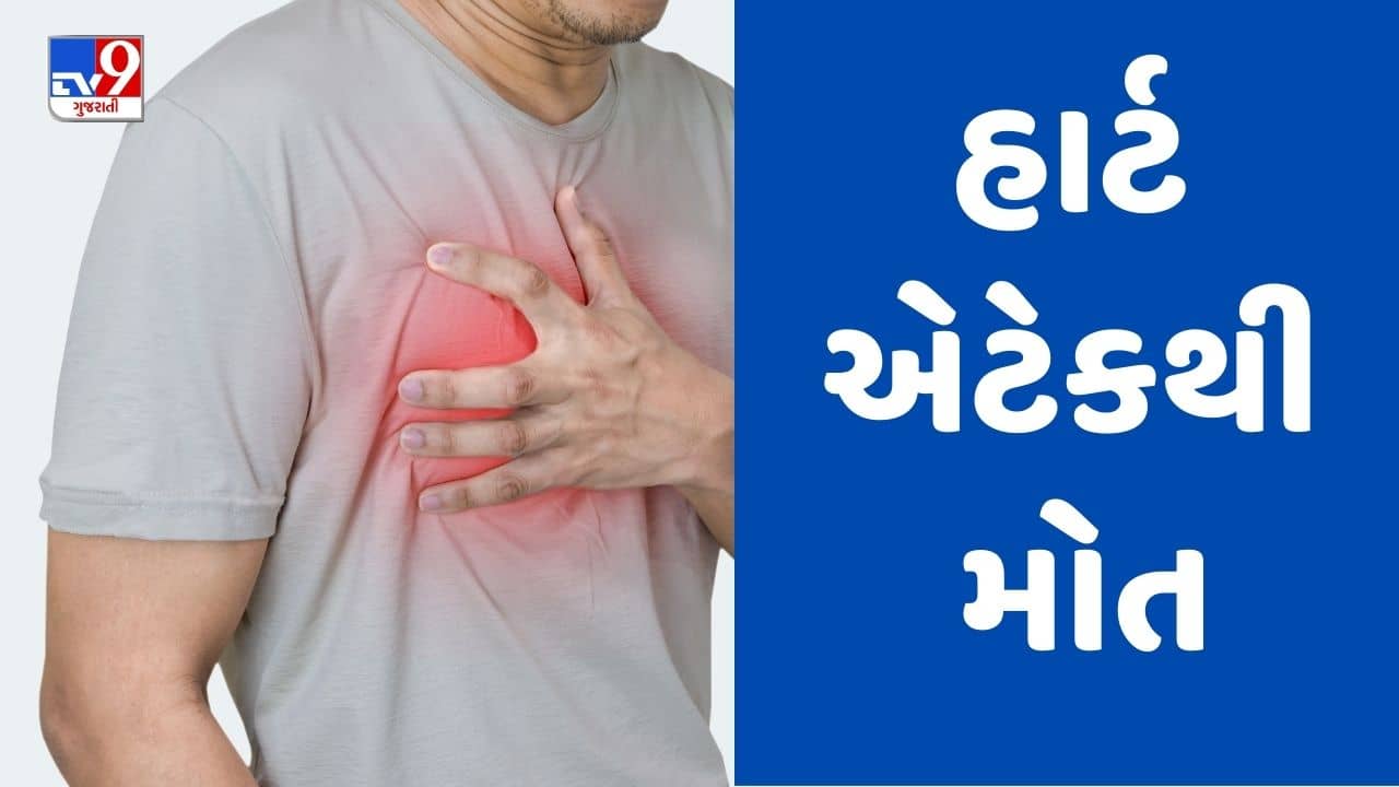 Gujarati Video : સુરતના ખટોદરામાં બાઈક પાછળ બેઠેલા વ્યક્તિનું હાર્ટ એટેકથી મોત, પરીવારમાં શોકનો માહોલ