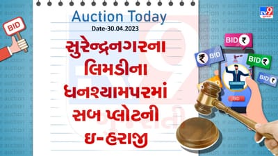 Auction Today : સુરેન્દ્રનગરના લિમડી ધનશ્યામપરમાં સબ પ્લોટની ઇ-હરાજી , જાણો વિગતો