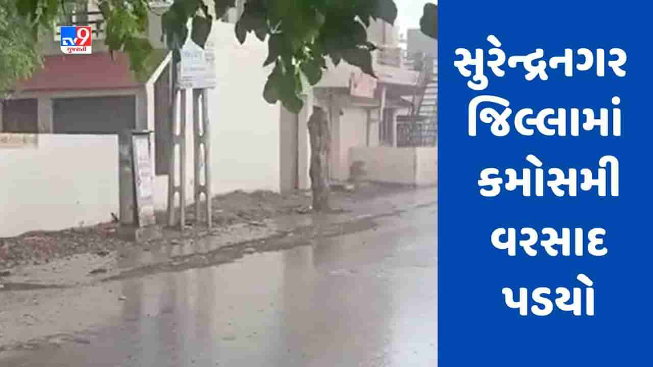 Gujarati Video : સુરેન્દ્રનગર જિલ્લામાં કમોસમી વરસાદ પડયો, વાતાવરણમાં ઠંડક પ્રસરી