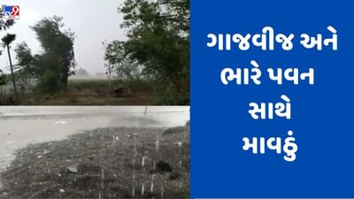 Gujarati Video: તાપીના નિઝરમાં કરા સાથે વરસાદ, જૂનાગઢમાં વાદળ છવાયા
