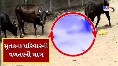 Gujarati Video: ઢોરના હુમલામાં વૃદ્ધાના મોત કેસમાં પરિવારે ફટકારી નોટિસ, રૂપિયા 25 લાખનું વળતર ચૂકવવા કરી માગ