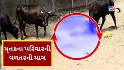 Gujarati Video: ઢોરના હુમલામાં વૃદ્ધાના મોત કેસમાં પરિવારે ફટકારી નોટિસ, રૂપિયા 25 લાખનું વળતર ચૂકવવા કરી માગ