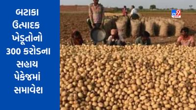 Gujarati Video : વડોદરા જિલ્લાના બટાકા ઉત્પાદક ખેડૂતોનો 300 કરોડના સહાય પેકેજમાં સમાવેશ કરાયો