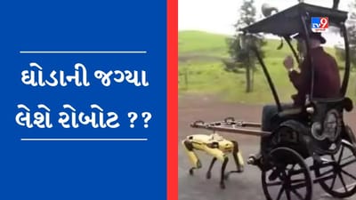 Viral Video: હવે ઘોડાની નોકરી છીનવી લેશે રોબોટ? ટેકનોલોજીના યુગમાં રોમાંચક વીડિયો થયો Viral