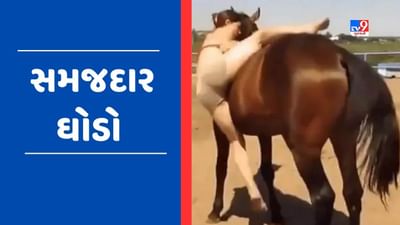 Viral Video: યુવતીને પરેશાન જોઈ ઘોડા એ કર્યું આ કામ, દુનિયાના સૌથી સમજદાર ઘોડાનો Video થયો  Viral