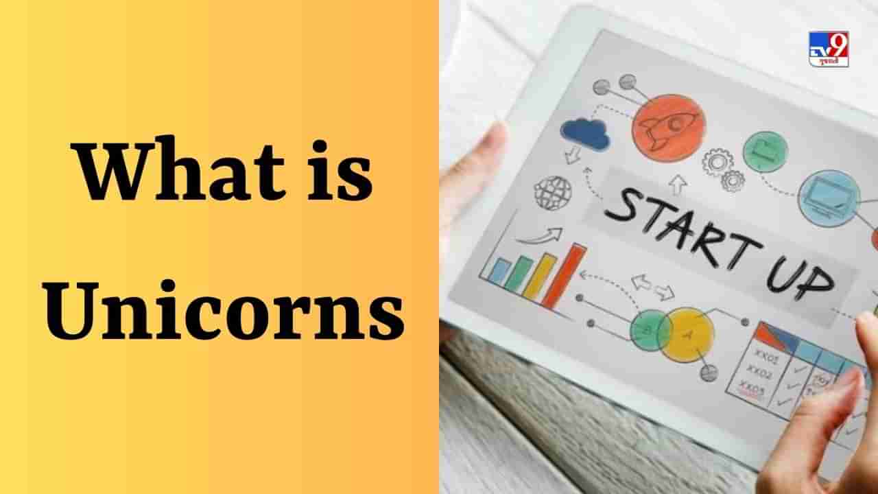 What is Unicorns : યુનિકોર્નની દ્રષ્ટિએ ટોપ દેશો ક્યા છે ? ભારતના સૌથી મોટા Unicornsનું નામ શું છે?