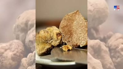 આ દુનિયામાં ખાવા માટે ઘણી વસ્તુઓ છે, જેના માટે લોકો ઘણા પૈસા ખર્ચે છે. જો કે, એવી ઘણી વસ્તુઓ છે, જે કિંમતના કારણે ચર્ચામાં રહે છે અને દરેક જણ તેને ખરીદી શકતા નથી.