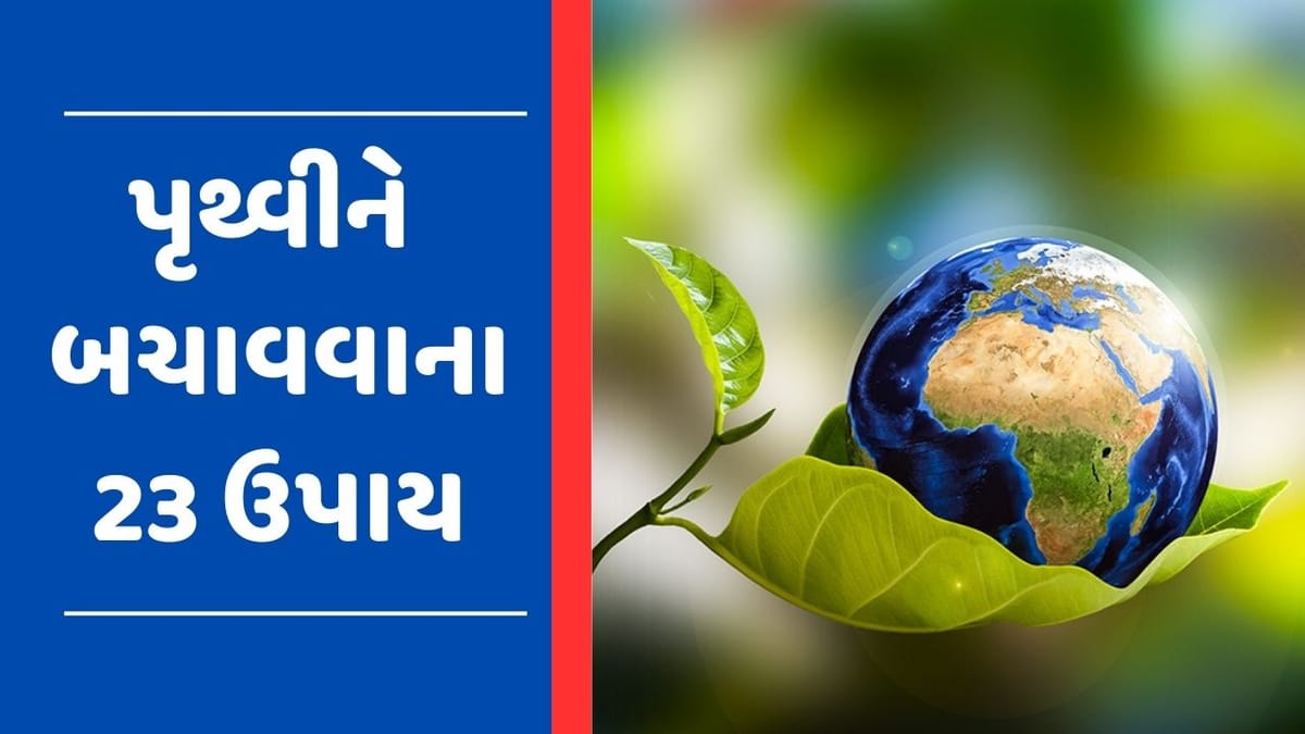 આખા વિશ્વમાં થઈ World Earth Dayની ઉજવણી, 2023માં નવી પેઢીને શીખવો આ 23 કામ, પૃથ્વી બનશે વધારે સુંદર આખા વિશ્વમાં થઈ World Earth Dayની ઉજવણી, 2023માં નવી પેઢીને શીખવો આ 23 કામ, પૃથ્વી બનશે વધારે સુંદર