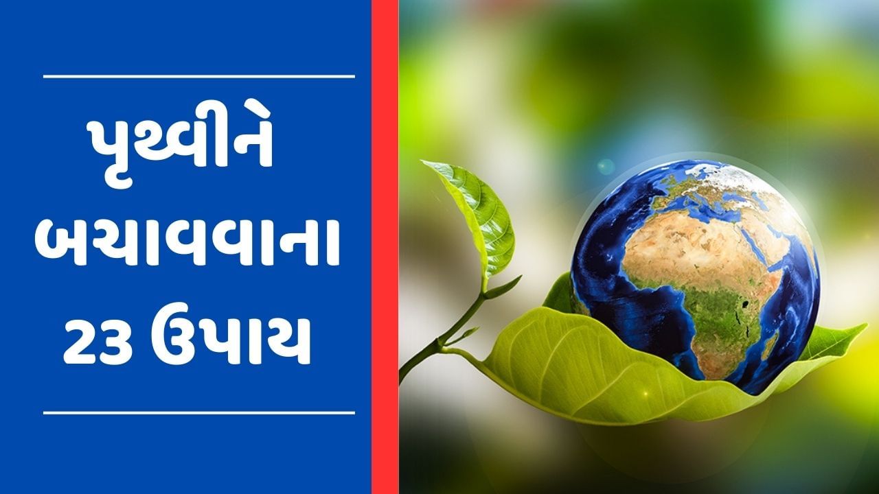 આખા વિશ્વમાં થઈ World Earth Dayની ઉજવણી, 2023માં નવી પેઢીને શીખવો આ 23 કામ, પૃથ્વી બનશે વધારે સુંદર