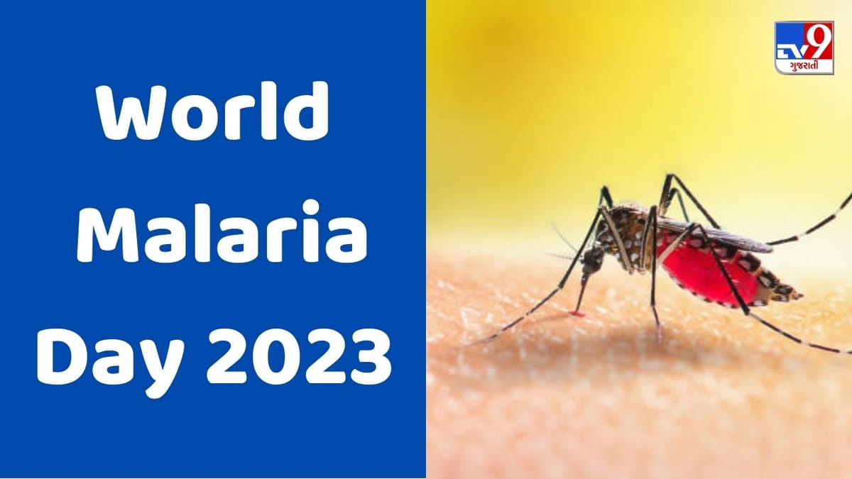 World Malaria Day 2023 : આજે દરેક જિલ્લામાં વિશ્વ મેલેરિયા દિવસની ઉજવણી કરાશે, જાણો મેલેરિયા કેવી રીતે ફેલાય છે World Malaria Day 2023 : આજે દરેક જિલ્લામાં વિશ્વ મેલેરિયા દિવસની ઉજવણી કરાશે, જાણો મેલેરિયા કેવી રીતે ફેલાય છે