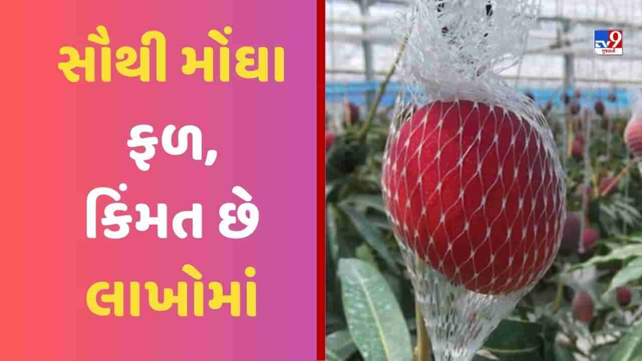 Fruit Farming: આ છે દુનિયાના સૌથી મોંઘા ફળ, કિંમત છે લાખોમાં, ખાસિયત જાણીને ચોંકી જશો