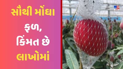 Fruit Farming: આ છે દુનિયાના સૌથી મોંઘા ફળ, કિંમત છે લાખોમાં, ખાસિયત જાણીને ચોંકી જશો