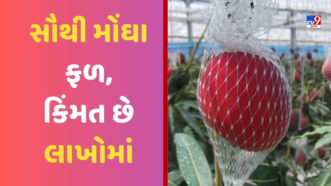 Fruit Farming: આ છે દુનિયાના સૌથી મોંઘા ફળ, કિંમત છે લાખોમાં, ખાસિયત જાણીને ચોંકી જશો