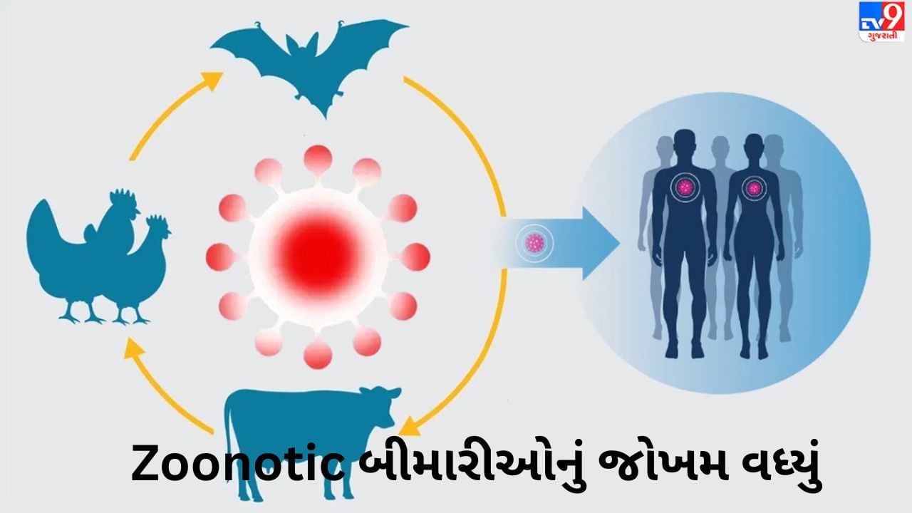 Zoonotic Disease: બર્ડ ફ્લૂથી લઈને કોવિડ સુધી, શા માટે મનુષ્યોમાં પ્રાણીઓને કારણે થતી બીમારીઓ વધી રહી છે, જાણો 5 મુદ્દા જે તમારે જાણવા જરૂરી છે