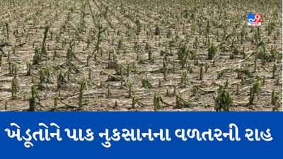 Gujarati Video: Amreli: કમોસમી વરસાદને કારણે ખેતીના પાકને પારાવાર નુકસાન, ખેડૂતોએ કરી વળતરની માગ