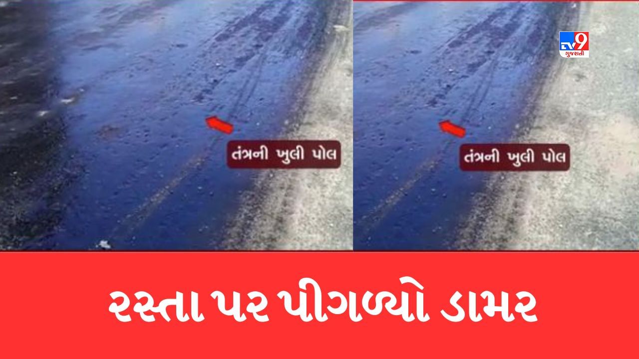 Gujarati Video વડોદરાના ભાયલી અને ચકલી સર્કલ પર પીગળ્યો ડામર, વાહનચાલકો અને રાહદારીઓ થયા પરેશાન