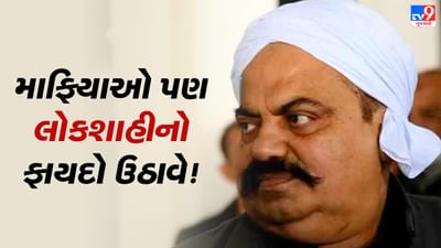 ઉત્તર પ્રદેશથી કર્ણાટક: માફિયાઓ પણ લોકશાહીનો ફાયદો ઉઠાવે છે...