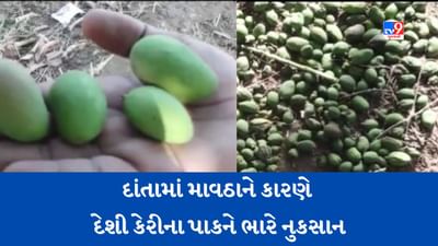 Gujarati Video: બનાસકાંઠામાં માવઠાને કારણે કેરીના પાકને ભારે નુકસાન, ખેડૂતોને સરકાર પાસે સહાયની આશા