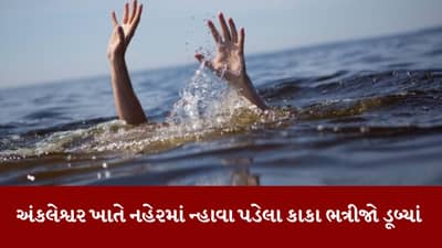 Bharuch: અંકલેશ્વર ખાતે નહેરમાં ન્હાવા પડેલા કાકા ભત્રીજો ડૂબ્યા, ફાયર વિભાગે શોધખોળ હાથ ધરી, જુઓ Video