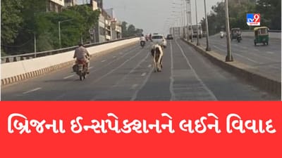 Gujarati Video: અમદાવાદમાં બ્રિજના ઈન્સ્પેક્શનને લઈને વિવાદ, વિવાદી કન્સલ્ટન્ટની નિમણુકની દરખાસ્ત આવતા ઉઠ્યા સવાલ