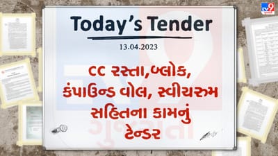 Tender Today : ચકલાસી નગર સેવા સદન દ્વારા CC રસ્તા, બ્લોક, કંપાઉન્ડ વોલ, સ્વીચ રુમ સહિતના કામ માટે ટેન્ડર જાહેર