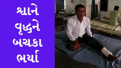 Gujarati Video : રાજકોટમાં રખડતા શ્વાને વૃદ્ધને બચકા ભરતા વૃદ્ધને પગમાં ગંભીર ઇજાઓ પહોંચી