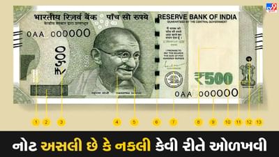 How to Identify Fake Currency : અસલી અને નકલી નોટો કેવી રીતે ઓળખી શકાય, જાણો RBI દ્વારા શું સુવિધા આપવામાં આવી છે?