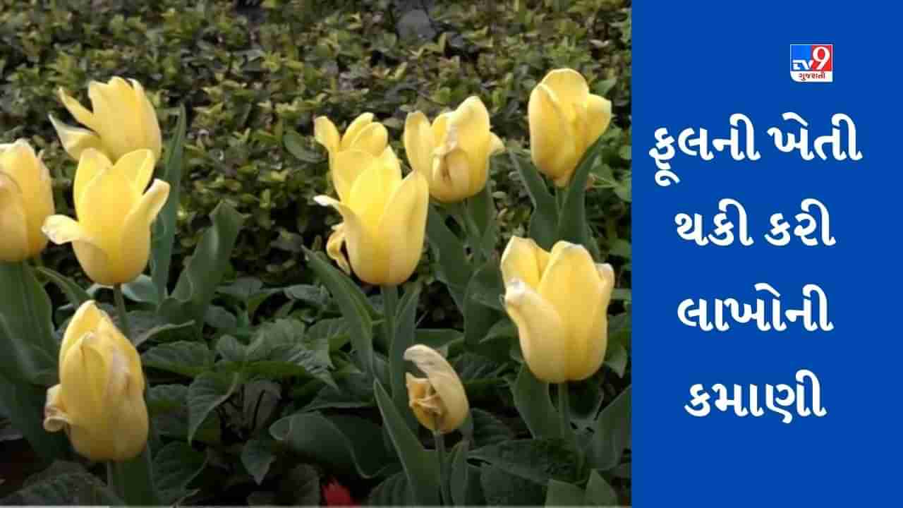 floriculture: ઈટાલી જઈને શીખી નવી ટેક્નોલોજી, હવે આ ફૂલની ખેતી થકી કરી લાખોની કમાણી