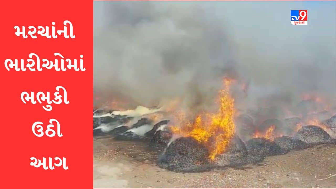 Gujarat Video: ગોંડલ માર્કેટિંગ યાર્ડમાં મરચામાં લાગી આગ, 2500 જેટલી ભારી બળીને થઈ ખાખ