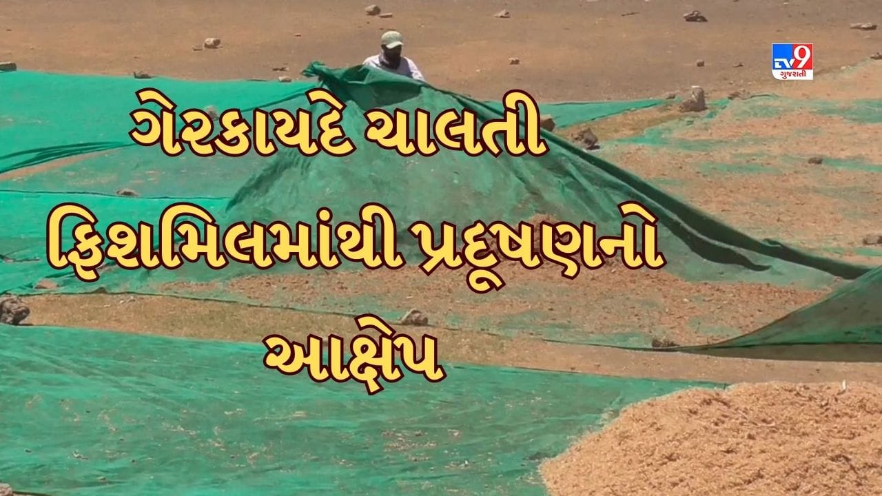 Gir Somnath: સોમનાથમાં દુર્ગંધથી લોકો પરેશાન, ગેરકાયદે ચાલતી ફિશમિલથી પ્રદૂષણ ફેલાઈ રહ્યાનો આક્ષેપ, જુઓ Video Gir Somnath: સોમનાથમાં દુર્ગંધથી લોકો પરેશાન, ગેરકાયદે ચાલતી ફિશમિલથી પ્રદૂષણ ફેલાઈ રહ્યાનો આક્ષેપ, જુઓ Video