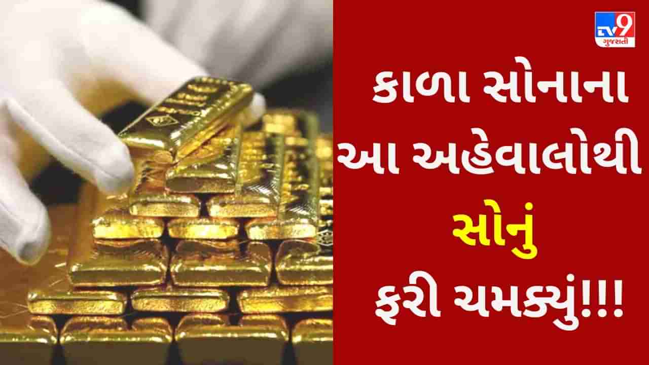 Gold Price Hike : OPEC દેશોએ તેલના ઉત્પાદનમાં ઘટાડો કરવાના નિર્ણયથી સોનામાં જબરદસ્ત તેજી, અમદાવાદમાં 1 તોલાનો ભાવ 61700 રૂપિયાને પાર