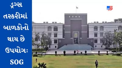 Ahmedabad : ડ્રગ્સની તસ્કરીમાં નાના બાળકોનો કરાય છે ઉપયોગ, ગુજરાત હાઈકોર્ટમાં રાજ્ય સરકાર દ્વારા રજૂ કરાયેલી એફિડેવિટમાં કરાયો સ્વીકાર